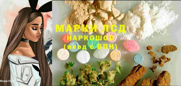 прущие крисы Магадан