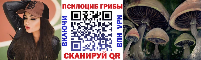 Галлюциногенные грибы MAGIC MUSHROOMS  Томск 