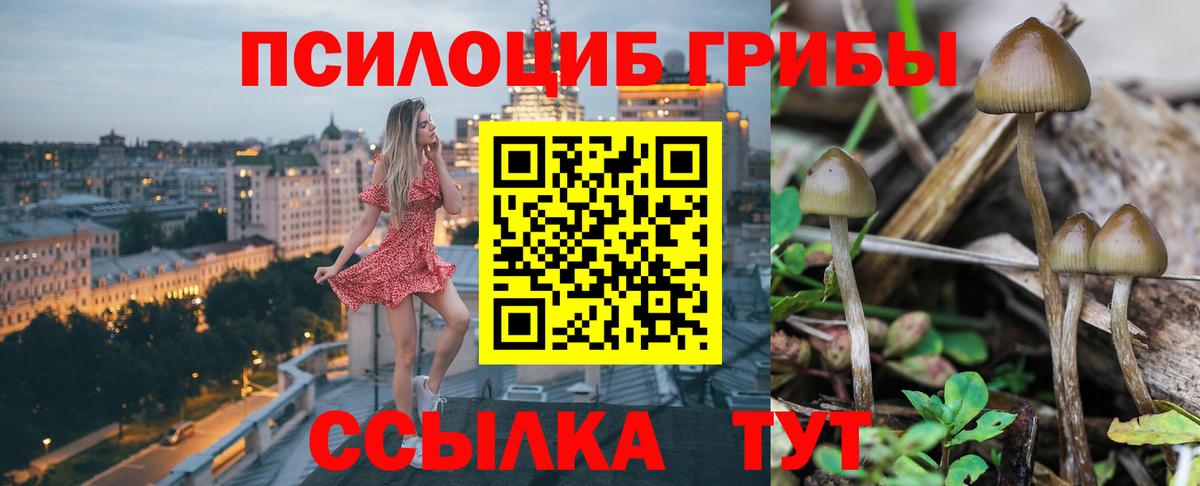 Галлюциногенные грибы MAGIC MUSHROOMS Томск
