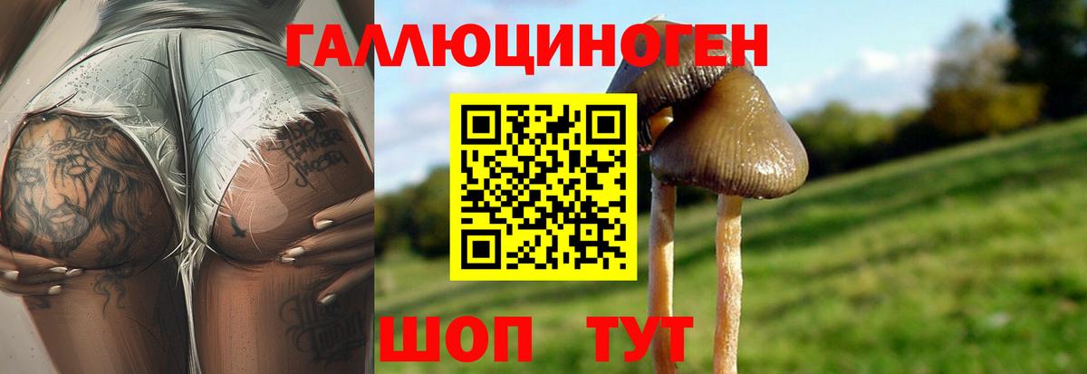 Галлюциногенные грибы Magic Shrooms  Вход с VPN  Томск 
