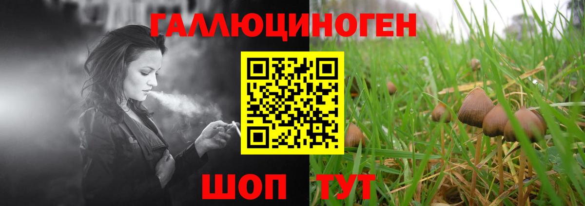 Гашиш  КОКАИН  Экстази  Мяу-Мяу  Вход с VPN  Томск  Hash Oil  НБОМе  Канабис  Марихуана  Мефедрон 